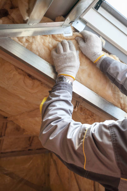 Best Fiberglass Insulation in Roessleville, NY