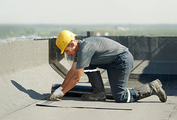 Best Geographic-Specific Insulation Services in Roessleville, NY