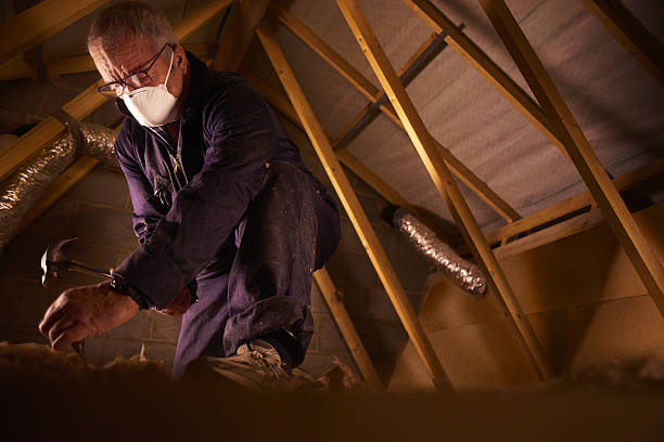 Types of Insulation We Offer in Roessleville, NY