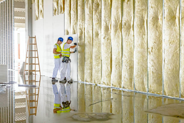 Best Spray Foam Insulation in Roessleville, NY